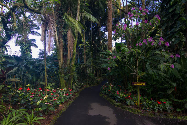 031_Tropical_Garden